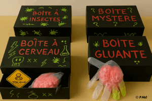 Quatre boîtes Halloween décorées et remplies de surprises à toucher à l’aveugle