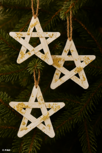 Étoiles en bâtonnets de glace suspendues aux branches d’un sapin naturel